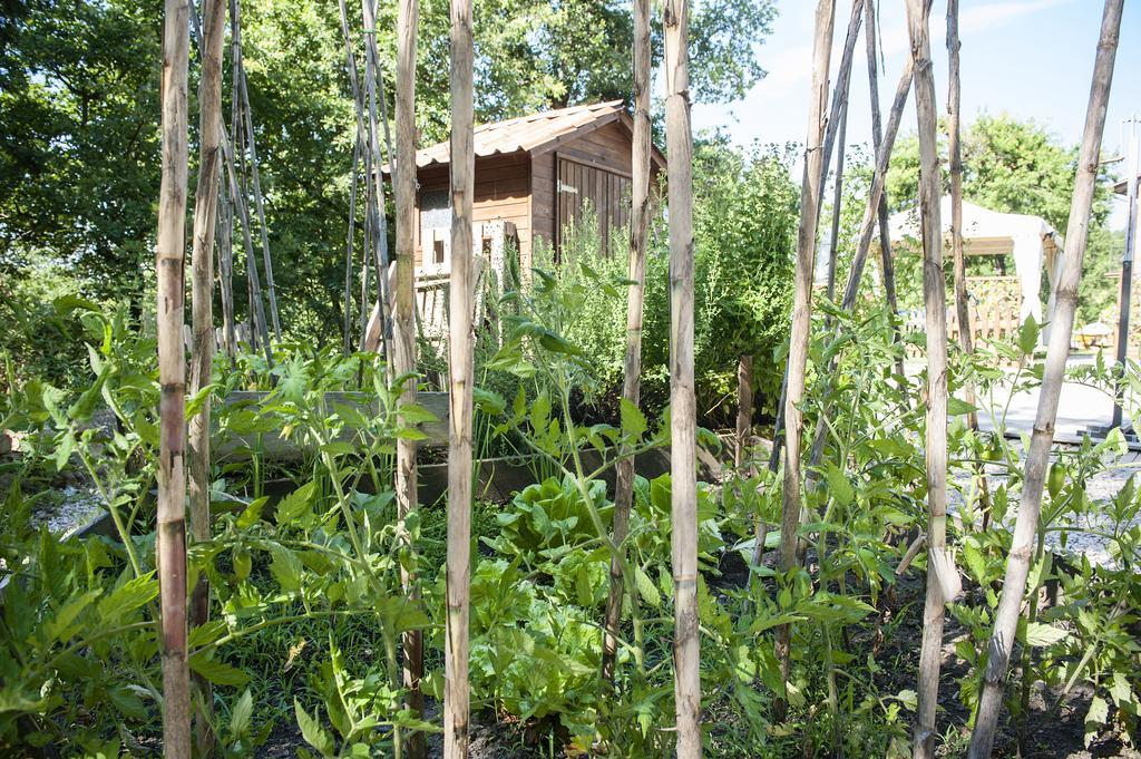 Maison d'hôtes Il Casale Del Ra à Tuoro sul Trasimeno Extérieur photo